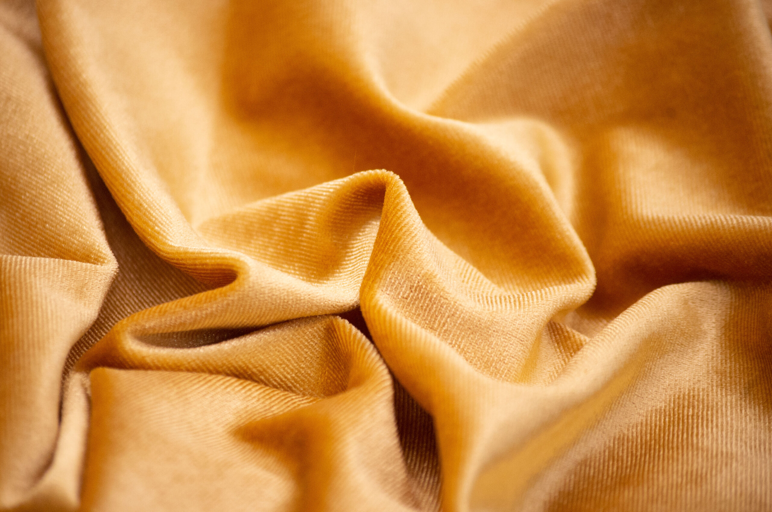 Invierno Indias Velvet Halo Dorado - Imagen 2