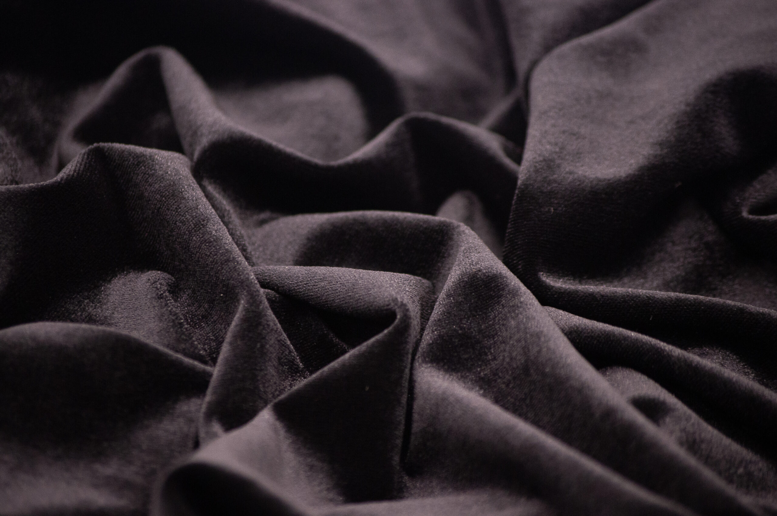 Invierno Animal Print - Imagen 2